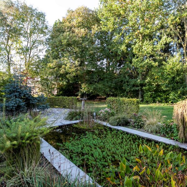 ACHTERTUIN3